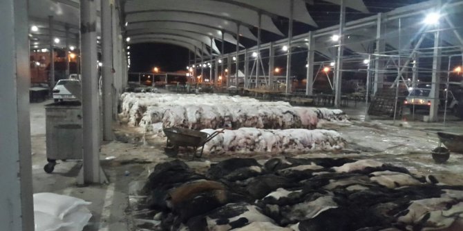 Didim THK, deri toplama işlemini sorunsuz gerçekleştirdi