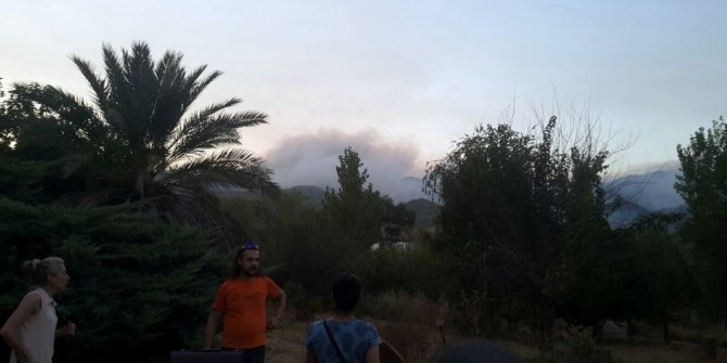 Antalya’da yangın bölgesindeki hayvanlar tahliye edildi