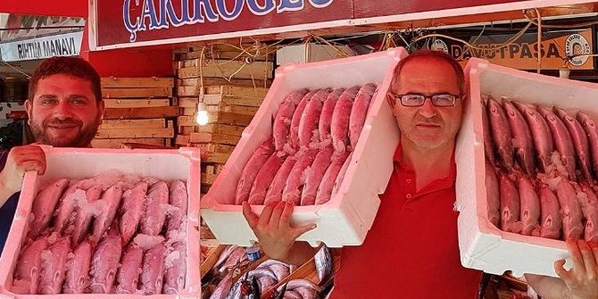 Bandırma’da Palamudun Tanesi 5 Liraya Düştü