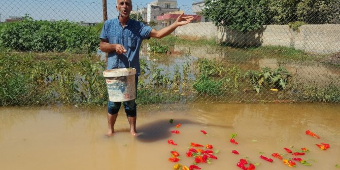Suruç’ta ev ve iş yerlerini su bastı