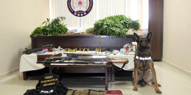 Evinde uyuşturucu üreten şahıs tutuklandı