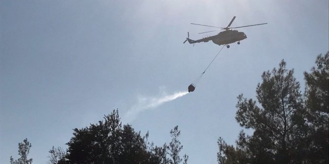Muğla Menteşe’de yangın paniği