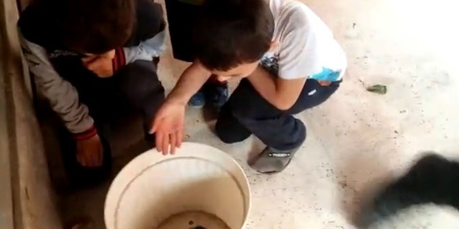 Otomobilin motorunda dünyaya gelen yavru kediler kurtarıldı