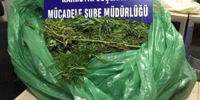 Konya’da uyuşturucu operasyonu: 1 gözaltı