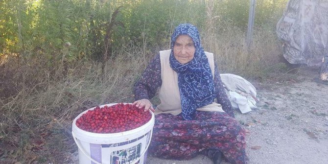 94 yaşındaki Zeliha Gönenli: Sağlıklı ve uzun yaşamanın en büyük sırrı doğal beslenmek