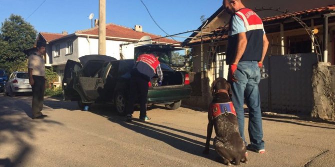 Jandarmadan köpekli uyuşturucu operasyonu