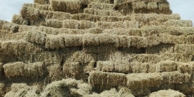 Balya fiyatları 2 kat arttı