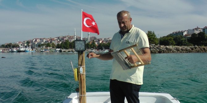 Amatör balıkçılar kovalarını balıkla doldurdu