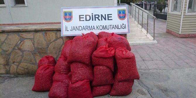 Edirne’de 20 Bin Tl’lik Kaçak Kum Midyesi Ele Geçirildi