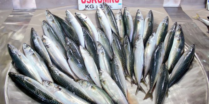 Uskumrunun 30 yıllık küskünlüğü sona erdi