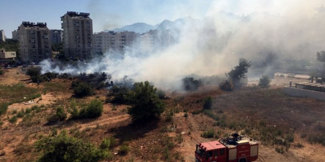 Antalya’da orman yangını