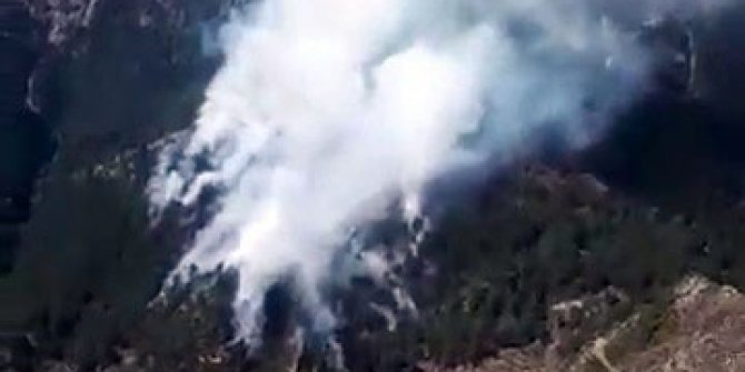 Osmaniye’de orman yangını