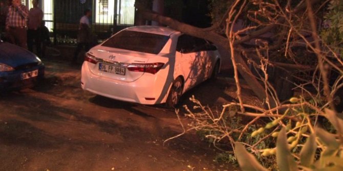 Seyir halindeki otomobilin üzerine ağaç devrildi