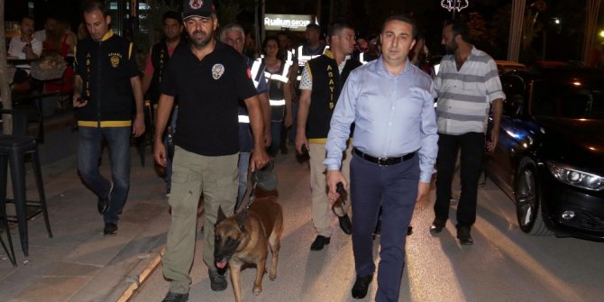 Kafe ve barlarda dedektör köpekle arama