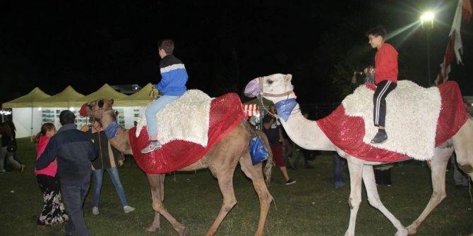 Deve turu ilgi çekiyor