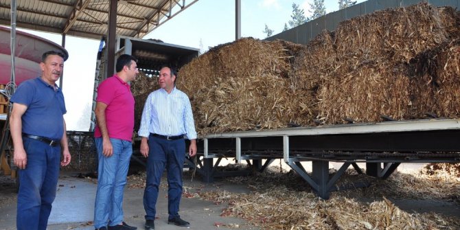 Tarımsal atıklar, enerjiye dönüşüyor