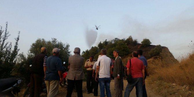 Turgutlu’da orman yangını