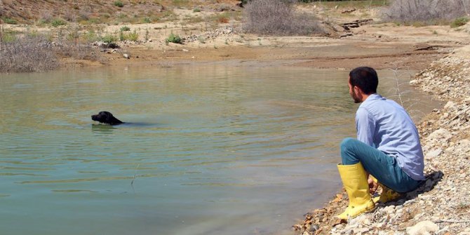 Balıkçı köpek sahibine günlük iki kilo balık yakalıyor