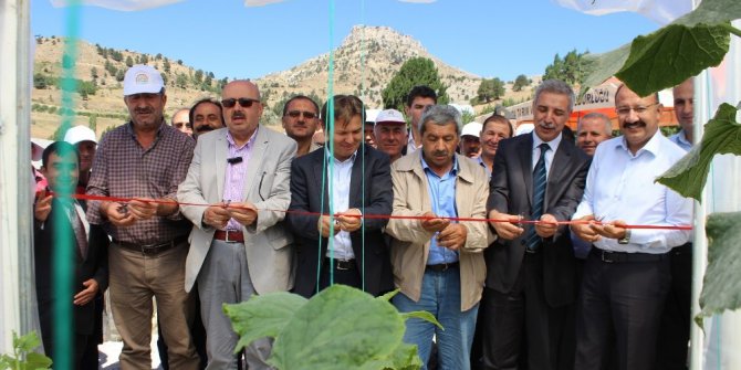 Sarıveliler’de “Yaz seracılığı” projesi