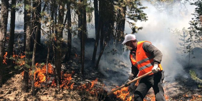Sarıkamış ormanları alev alev yanıyor