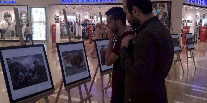 "Hayvan Hakları Kareleri" Sergisi