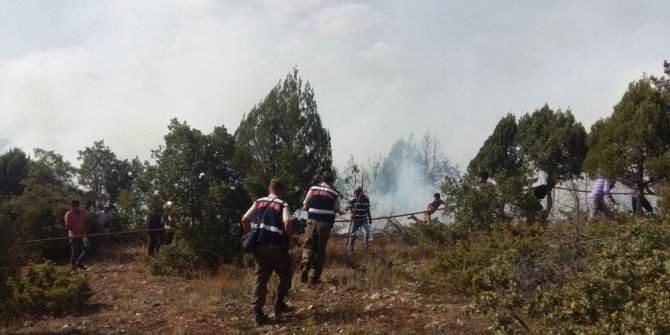 Domaniç’teki orman yangınını söndürme çalışmaları sürüyor