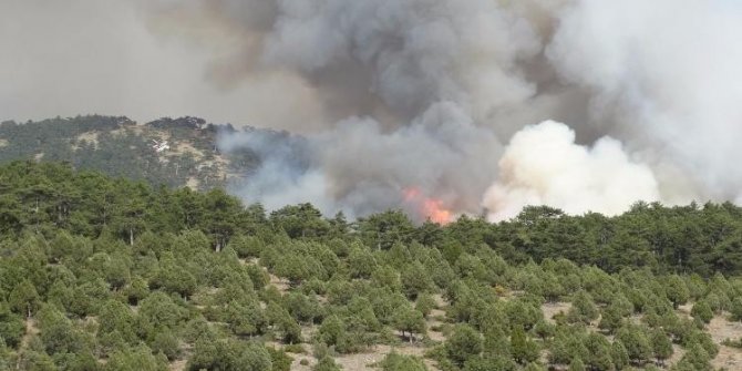 Kütahya’da orman yangını söndürülemiyor