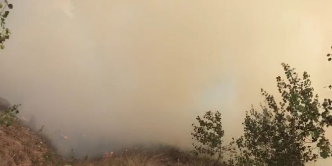 Sarıkamış’ta orman yangını söndürüldü