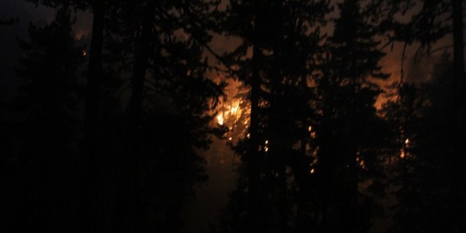 Domaniç’te Orman yangını söndürme çalışmaları gecenin geç saatlerine kadar devam etti