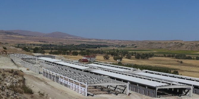 Tarım ve Hayvancılığa Büyükşehir’den 15 Milyon TL’lik Destek