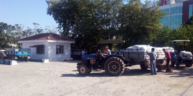 TARİŞ üzüm alımlarına başladı