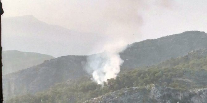 Fethiye’de orman yangını