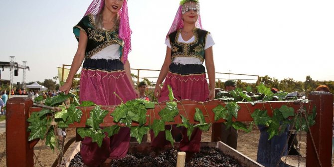 Buca’da şenlik havasında üzüm hasadı