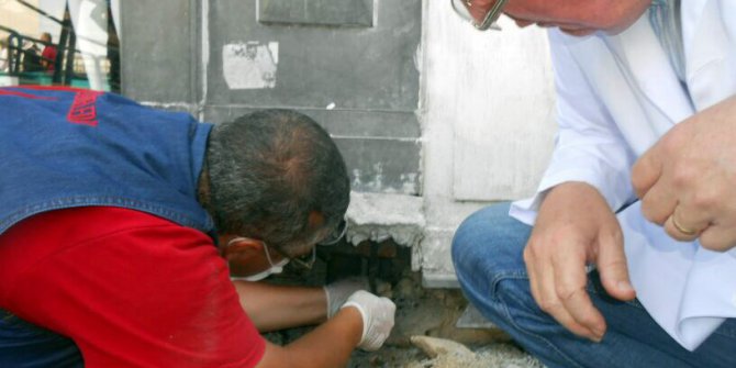 İstiklal Caddesi‘ndeki fareler için ilaçlı önlem