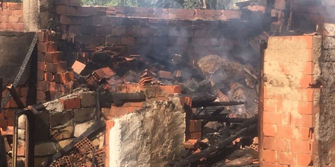 Alevler arasında kalan onlarca hayvan telef oldu