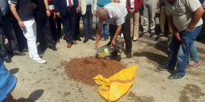 MHP’den fındık protestosu