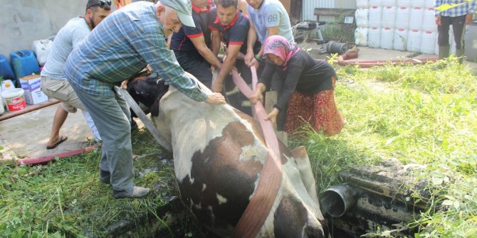 Kuyuya düşen inek için itfaiye ve vatandaşlar seferber oldu