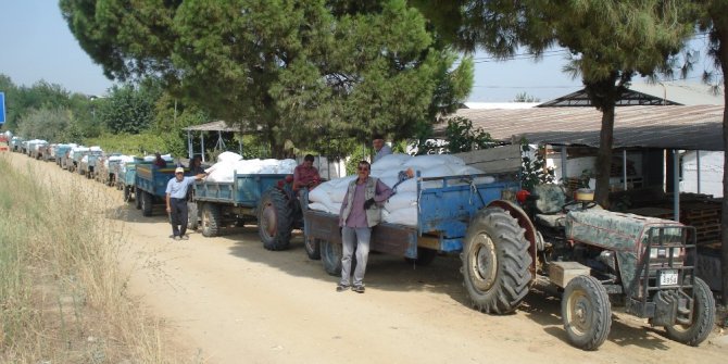 TARİŞ depolarında üzüm kuyruğu