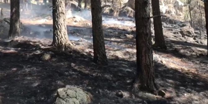 Sarıkamış cayır cayır yanıyor