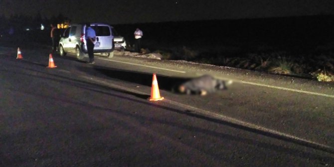 Yaşlı adam aydınlatması bulunmayan yolda kaza kurbanı oldu