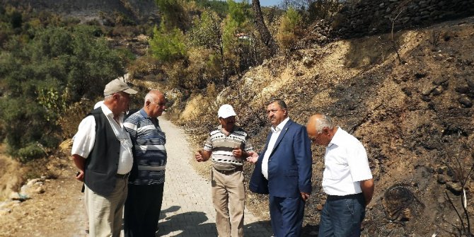 Yangından zarar gören çiftçilerin aidatları Ziraat Odasından