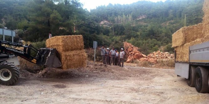 Tarım İl Müdürlüğünden Zeytin Mahallesine 13 ton saman
