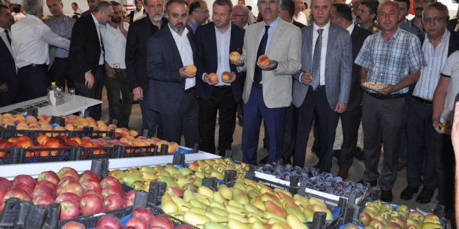 Anıl: "Tarımda reformlara ihtiyacımız var"