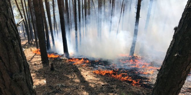 Sarıkamış ormanları 3 gündür yanıyor