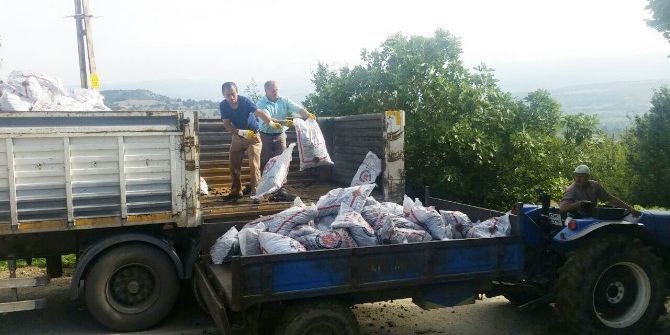 Hisarcık’ta 700 Aileye Bin Ton Kömür Yardımı