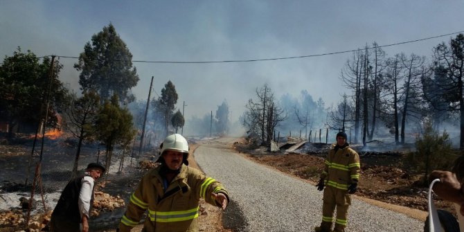 Dursunbey’de orman yangını