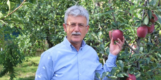 25. Yeşil İhsaniye Elma Festivali başladı