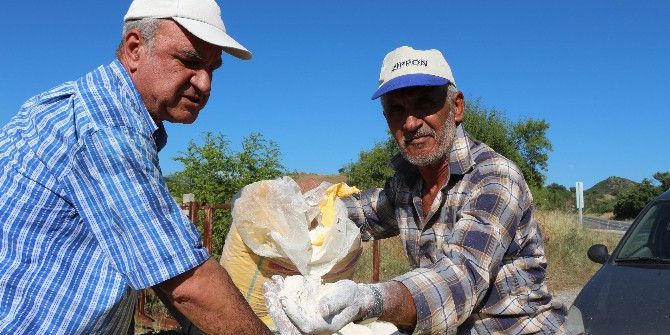 Kaoelin, İnşaat Ve Seramikten Sonra Tarımda Da Kullanılmaya Başlandı
