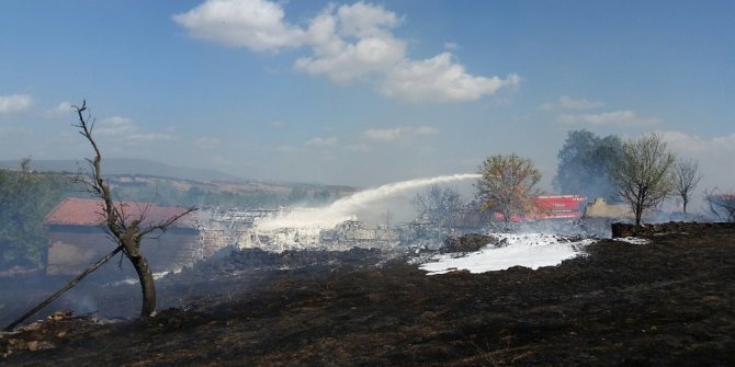 Lodos yangın çıkardı