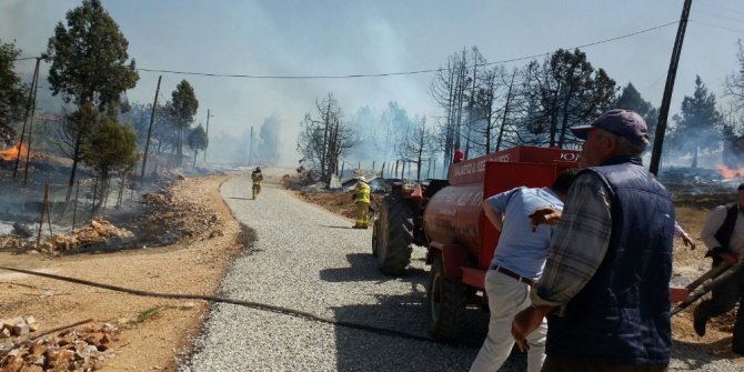 Balıkesir’de orman yangını sürüyor